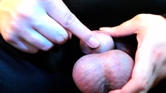 deep urethra sounding CBT cumming maso svepig4t peehole