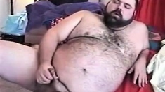 Hairy Chubby Bear Jo1