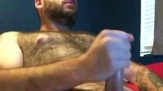 Hairy Bear Masturbating on Webcam