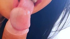Amateur BJ Oral POV Blowjob Cumshot