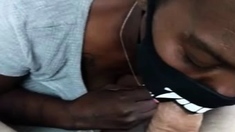 Black girl with mask blowjob in the car
