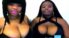 Ebony Webcam: Kelly & Kity