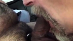 Lorry driver suck my cock