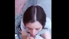 Slutty College Chick Sucks Cock Balls Deep In Alley